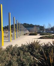 Alpha Taxi Services image 16