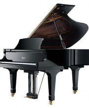 Pouteau Pascal image 1