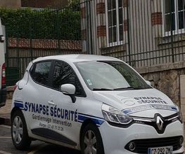 SYNAPSE INVESTIGATION image 6