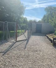 Cani Services image 15