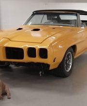 Illusorius Art Autospritzwerk Bild 2