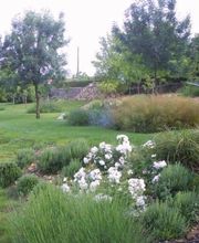 Carré Vert Paysage image 1