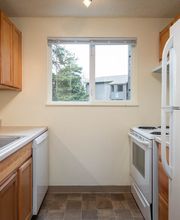 Birchcreek Apartments image 10