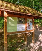 FriedWald Kalletal Bild 10