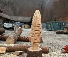 ONSFOREST Sagl Bild 14