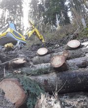 B. Aellig Gmbh Bild 7