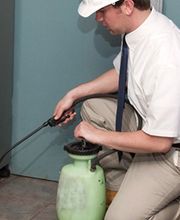 Avenir Hygiene Multiservices image 4