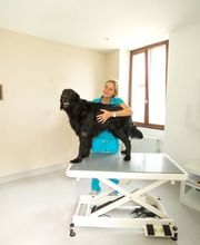 ZeVet - Cabinet vétérinaire Bild 11