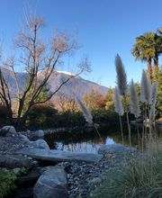 Art & Giardini Sagl Bild 1