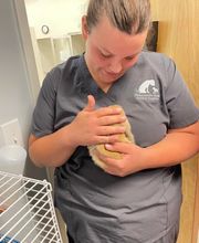 Nicholasville Road Animal Hospital image 3