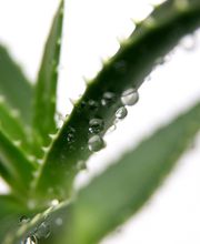 Praxis Dr. med. Kadzidroga Bild 1