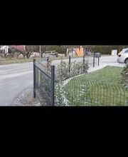 Gueorguieva Navarro Bild 8