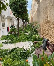 INDIGO JARDINES imagen 8