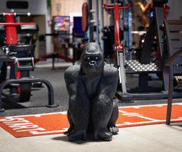 URBAN GYM image 12