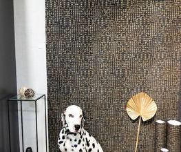 Mondecor image 1