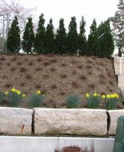 Hatt Gartenbau Bild 7