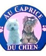 Au Caprice Du Chien image 2