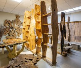 Gallery Professionale