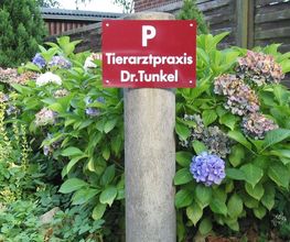 Dr. Friederike Tunkel Fachärztin f. Kleintiere Bild 9