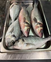 Ristorante La Perla Belluno Bild 13