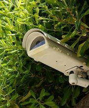 ECEPH image 2