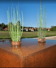 Glauser Gartengestaltung GmbH Bild 1