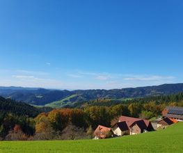 Erholungsblick Bild 2