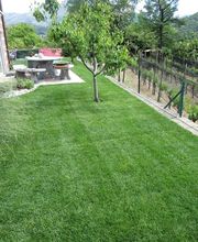 Art & Giardini Sagl Bild 13