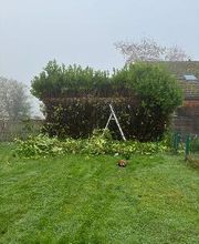 Daniel Moquet signe vos jardins - Ent. AJ Paysage image 6