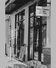 Caring Hands Animal Hospital - Suffolk image 20