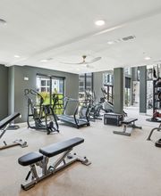 Botanic Miramar Beach Apartments image 3