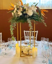 Vows and Dreams imagen 4