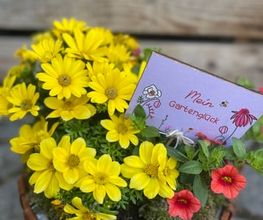 Blumenboutique Melanie Bild 6