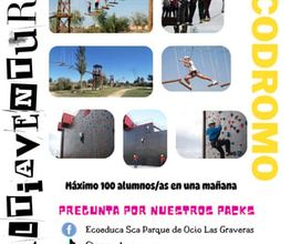 197859572-2-j3vM5H53de1726741404103.jpeg