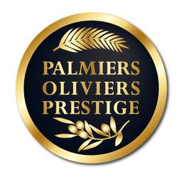Palmiers Prestige