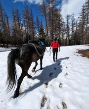 Les Sabots de Vénus image 9