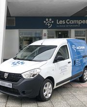 161072673-1-EHv6ySyByC1614708951983.jpeg