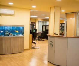 asesoria-juridica-02-g.jpg