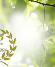 Lindegger GmbH Bild 3