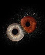 Photographie François Barreto image 1