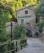 Mulino-Vinci Bild 11