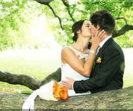 FotoStube Hornig Inh. Sebastian Kassner Bild 4