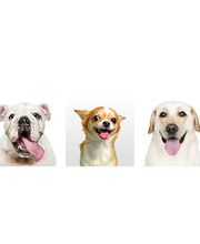 Scotland's Mist Acres image 1