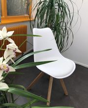 Kleintierpraxis Rhenus Bild 10