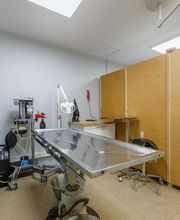 Clinique Vétérinaire Mon Véto Bourgtheroulde image 3