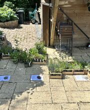 Gartenservice Mark Miess Bild 10