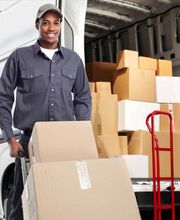 mamo services GmbH Bild 3