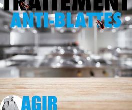 A.G.I.R image 10