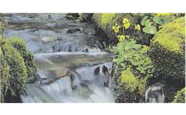 Pietät Glaser Inh. Volker Glaser