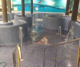 308137249-1-tEmpm4PGd71763062278601.jpeg
